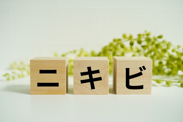 ニキビ跡 レチノール ビタミンc どっち