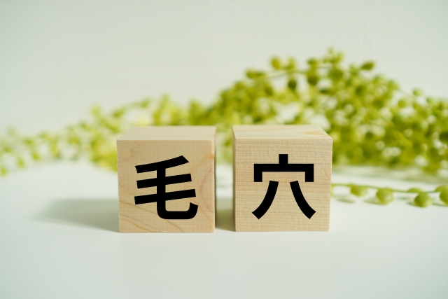 毛穴 レチノール ビタミンc どっち